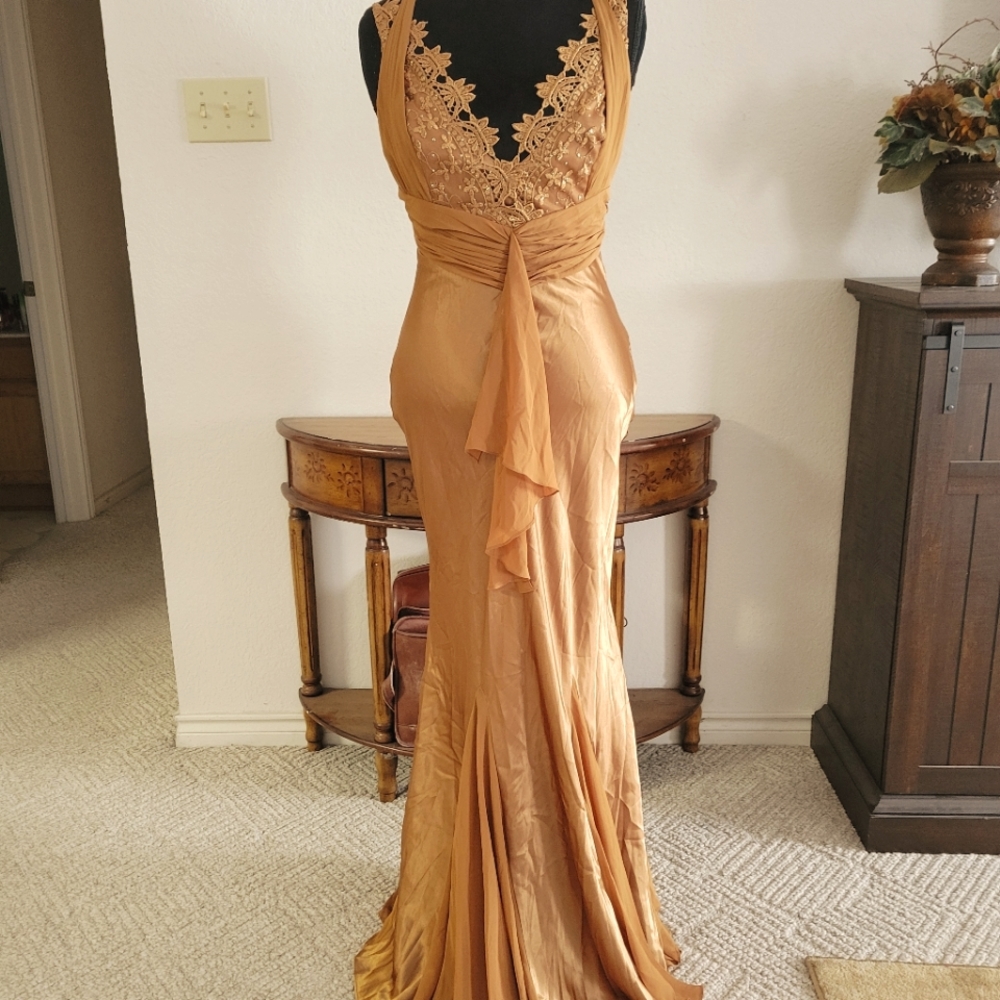 Mary L Couture size 8; Dark Gold; Evening dress, & Delicious Gold size 6.5 heels